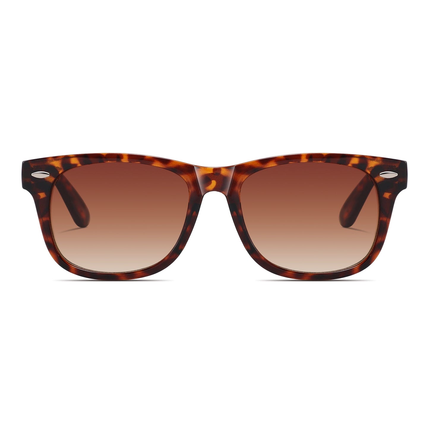 The Classic Sunglasses (Tortoise Shell Light)